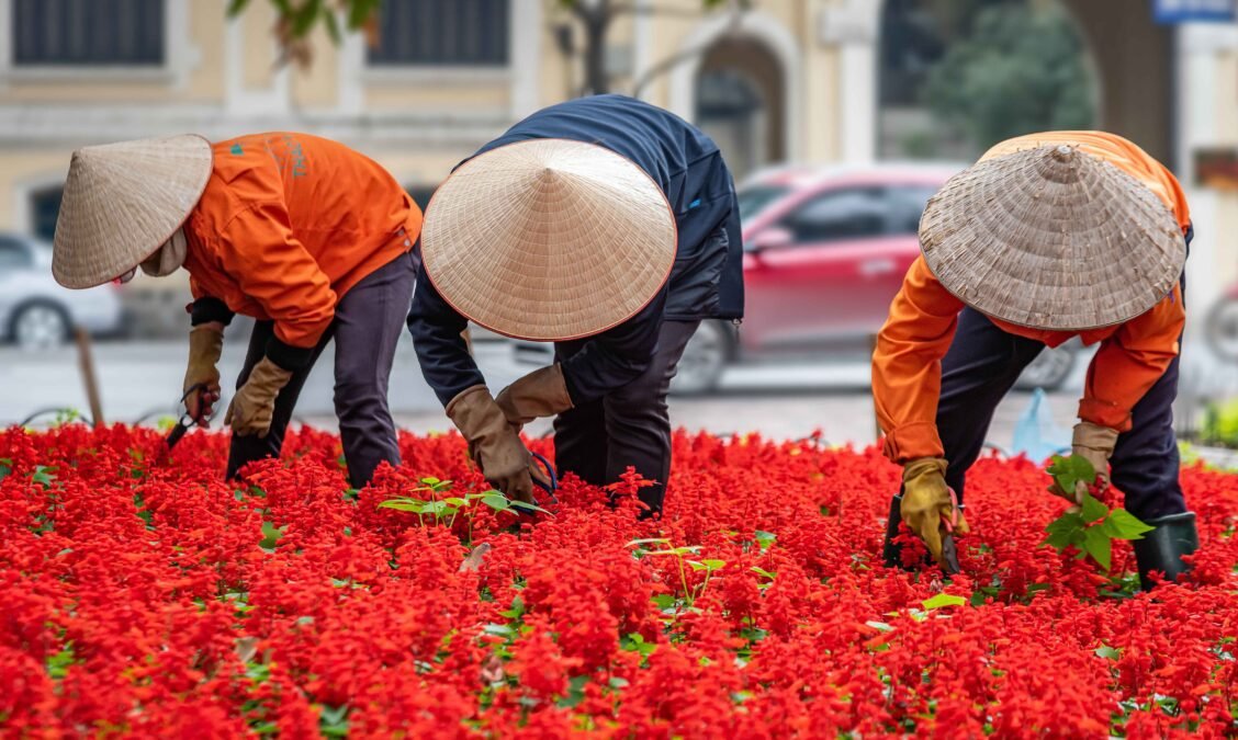 Warum sich hochwertige Gartengeräte schon ab der ersten Saison bezahlt machen Warum sich hochwertige Gartengeräte schon ab der ersten Saison bezahlt machen